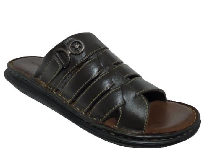 Green Bulls Brand men